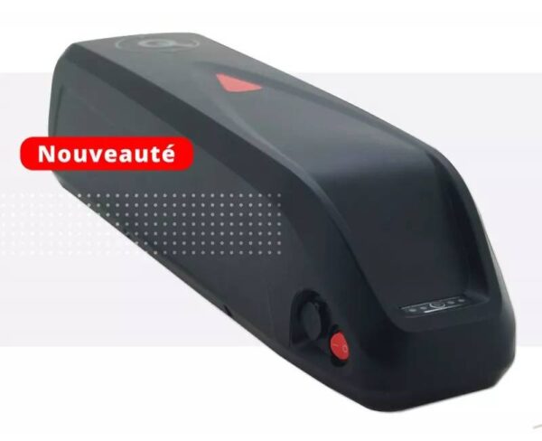 Batterie externe lithium 24V 10.4Ah